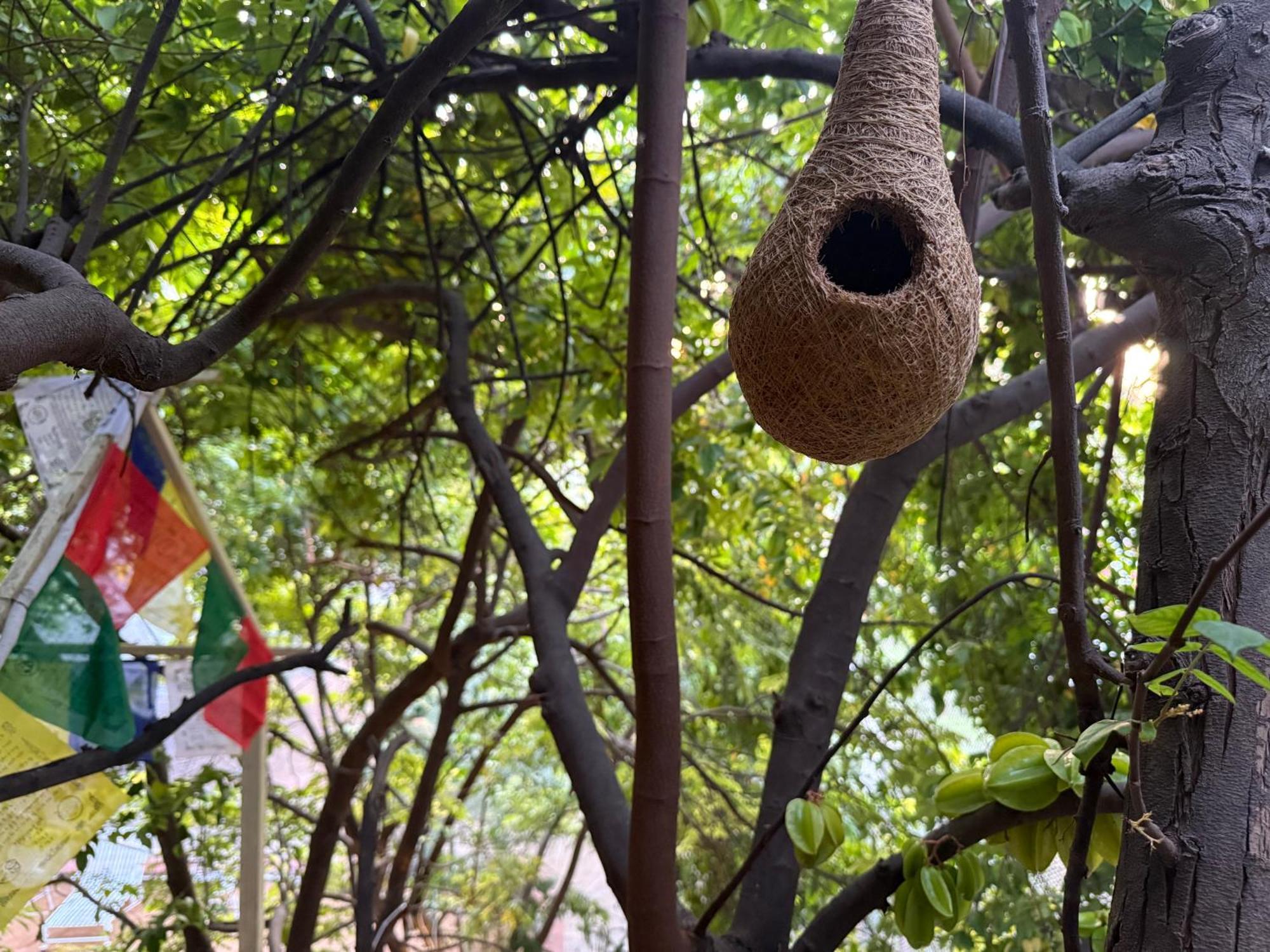 Hotel Green Heaven Resort Pushkar Exterior photo